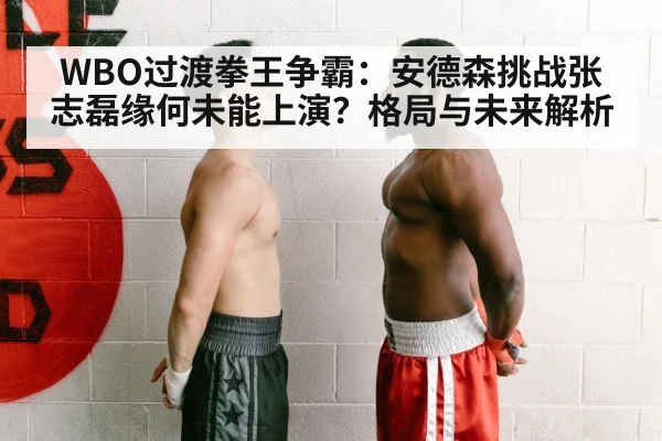 WBO过渡拳王争霸：安德森挑战张志磊缘何未能上演？格局与未来解析